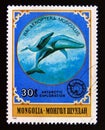 Postage stamp Mongolia, 1980. Blue Whale Balaenoptera musculus