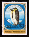 Postage stamp Mongolia, 1980. Emperor Penguin Aptenodytes forsteri