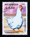 Postage stamp Nicaragua, 1985. Chicken Gallus gallus domesticus bird