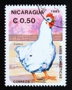 Postage stamp Nicaragua 1985. Chicken Gallus gallus domesticus