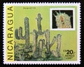 Postage stamp Nicaragua, 1987. Saguaros cactus plant