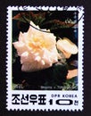 Postage stamp North Korea, 1991. Begonia tuberhybrida flower