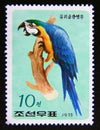 Postage stamp North Korea, 1975. Blue and yellow Macaw Ara ararauna bird