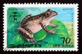 Postage stamp North Korea, 1992, Korean Brown Frog, Rana coreana