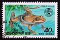 Postage stamp North Korea, 1992, Moor Frog, Rana arvalis