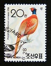 Postage stamp North Korea, 1992. Ring necked Pheasant Phasianus colchicus bird Royalty Free Stock Photo