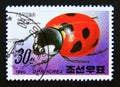 Postage stamp North Korea, 1990. Seven Spot Ladybird Coccinella septempunctata insect Royalty Free Stock Photo