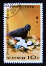 Postage stamp North Korea, 1978. Tristram`s Woodpecker Dryocopus javensis richardsi bird