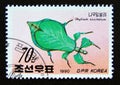 Postage stamp North Korea, 1990. Walking Leaf Phyllium siccifolium insect