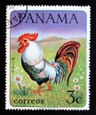Postage stamp Panama 1967. Rooster Gallus gallus domesticus