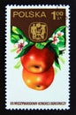 Postage stamp Poland, 1974. Apples Malus pumila