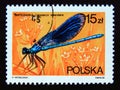 Postage stamp Poland, 1988. Banded Demoiselle Calopteryx splendens dragonfly insect Royalty Free Stock Photo