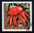 Postage stamp Poland, 1968. Clianthus dampieri flower