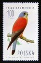 Postage stamp Poland, 1975. Lesser Kestrel Falco naumanni, male bird of prey Royalty Free Stock Photo