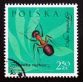 Postage stamp Poland, 1961. Red Wood Ant Formica rufa insect