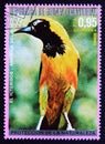 Postage stamp Republic of Equatorial Guinea 1976, Hooded Oriole, Icterus cucullatus