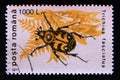 Postage stamp Romania,, 1996. Bee Beetle Trichius fasciatus insect Royalty Free Stock Photo