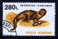 Postage stamp Romania, 1993. Egyptian Mongoose Herpestes ichneumon Royalty Free Stock Photo
