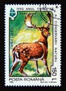 Postage stamp Romania, 1995. Fallow Deer Dama dama