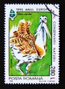 Postage stamp Romania, 1995. Great Bustard Otis tarda bird Royalty Free Stock Photo