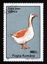 Postage stamp Romania 1995. Greylag Goose Anser anser