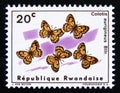 Postage stamp Rwanda, 1965. African Golden Arab Colotis aurigineus butterfly