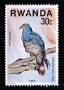 Postage stamp Rwanda, 1977. African Harrier Hawk Gymnogenys typicus bird of prey