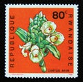 Postage stamp Rwanda, 1968. Costus afer flower plant
