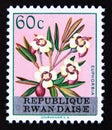 Postage stamp Rwanda, 1963. Euphorbia blooming flower