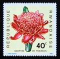 Postage stamp Rwanda, 1968. Phaeomeria speciosa flower plant