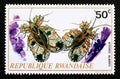 Postage stamp Rwanda, 1973. Tingid Bug Kitoko alberti insect Royalty Free Stock Photo