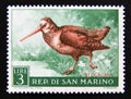 Postage stamp San Marino, 1960. Eurasian Woodcock Scolopax rusticola bird