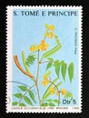 Postage stamp Sao Tome and Principe, 1988. Cassia occidentalis medical Flower plant