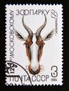 Postage stamp Soviet union, CCCP 1984. Bontebok antilope Damaliscus pygargus