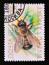 Postage stamp Soviet Union, CCCP,, 1989. Honey Bee Apis mellifica insect Royalty Free Stock Photo