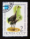 Postage stamp Soviet Union, CCCP, 1982. Hooded Crane Grus monacha bird