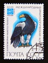 Postage stamp Soviet union, CCCP 1982. Steller Sea eagle bird of prey Haliaeetus pelagicus Royalty Free Stock Photo