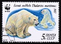 Postage stamp Soviet Union, CCCP 1987, Polar Bear, Ursus maritimus