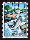 Postage stamp Spain 1977. Atlantic Salmon Salmo salar Royalty Free Stock Photo