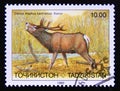 Postage stamp Tajikistan, 1993. Bactrian Deer Cervus elaphus bactrianus