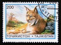 Postage stamp Tajikistan, 1996. Mongolian Lynx Lynx lynx isabellina cat
