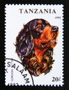 Postage stamp Tanzania, 1993. Gordon Setter Canis lupus familiaris dog