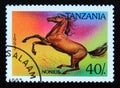 Postage stamp Tanzania, 1993. Nonius Equus ferus caballus horse