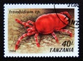 Postage stamp Tanzania, 1994. Red Velvet Mite Trombidium spider Royalty Free Stock Photo
