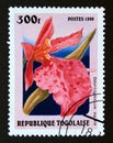 Postage stamp Togo, 1999. Odontoglossum majale orchid flower