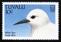 Postage stamp Tuvalu, 1988. White Tern Gygis alba bird