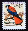 Postage stamp United States of America, USA 1999. American Kestrel Falco sparverius Royalty Free Stock Photo