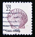 Postage stamp United States of America, USA 1985. Calico Scallop Argopecten gibbus shell