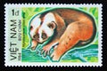 Postage stamp Vietnam, 1984. Bengal Slow Loris Nycticebus coucang