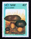 Postage stamp Vietnam, 1987. Bronze boletus Boletus aereus fall mushroom
